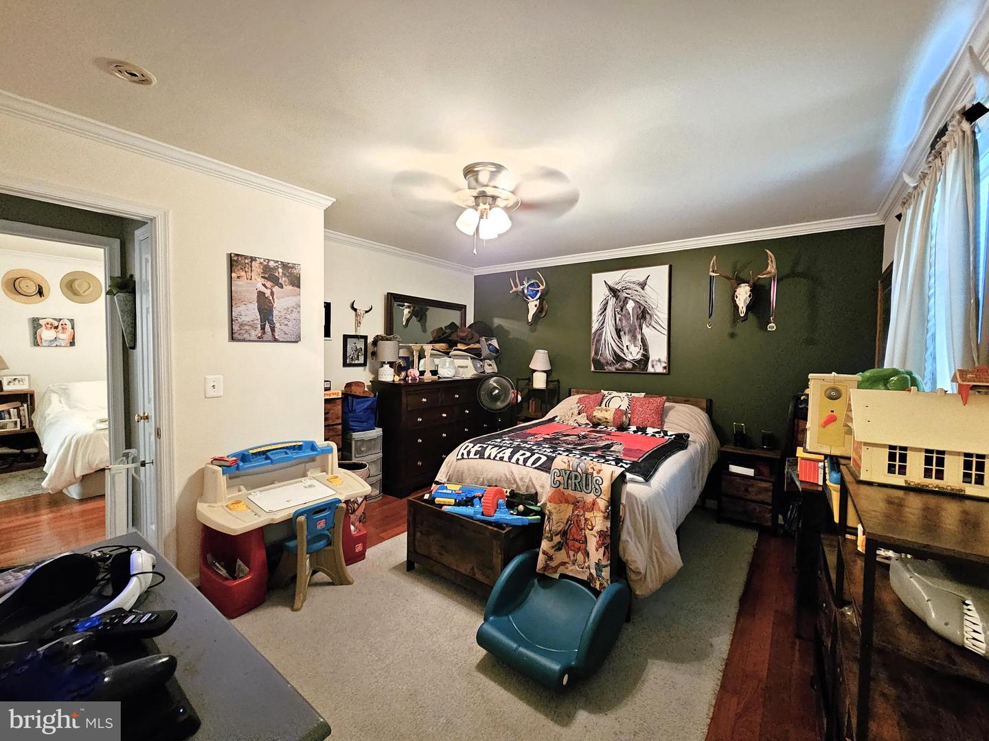 336 BLANKENBAKER RD, MADISON, Virginia 22727, 3 Bedrooms Bedrooms, ,3 BathroomsBathrooms,Residential,For sale,336 BLANKENBAKER RD,VAMA2002322 MLS # VAMA2002322