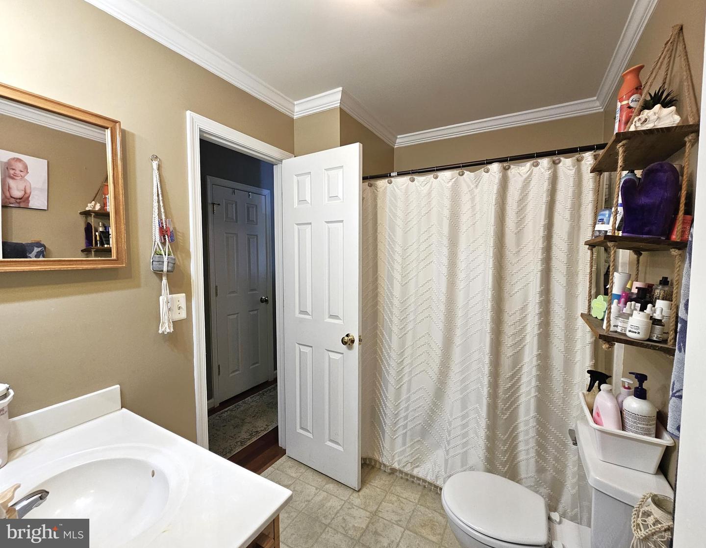 336 BLANKENBAKER RD, MADISON, Virginia 22727, 3 Bedrooms Bedrooms, ,3 BathroomsBathrooms,Residential,For sale,336 BLANKENBAKER RD,VAMA2002322 MLS # VAMA2002322