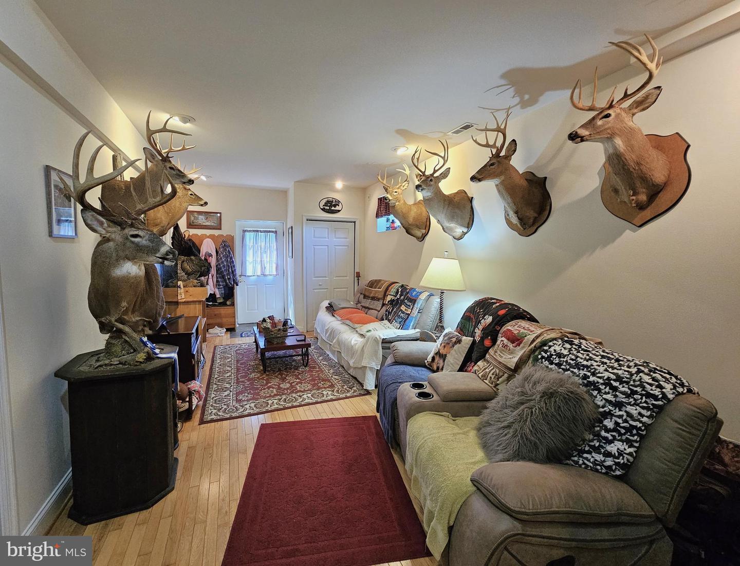 336 BLANKENBAKER RD, MADISON, Virginia 22727, 3 Bedrooms Bedrooms, ,3 BathroomsBathrooms,Residential,For sale,336 BLANKENBAKER RD,VAMA2002322 MLS # VAMA2002322
