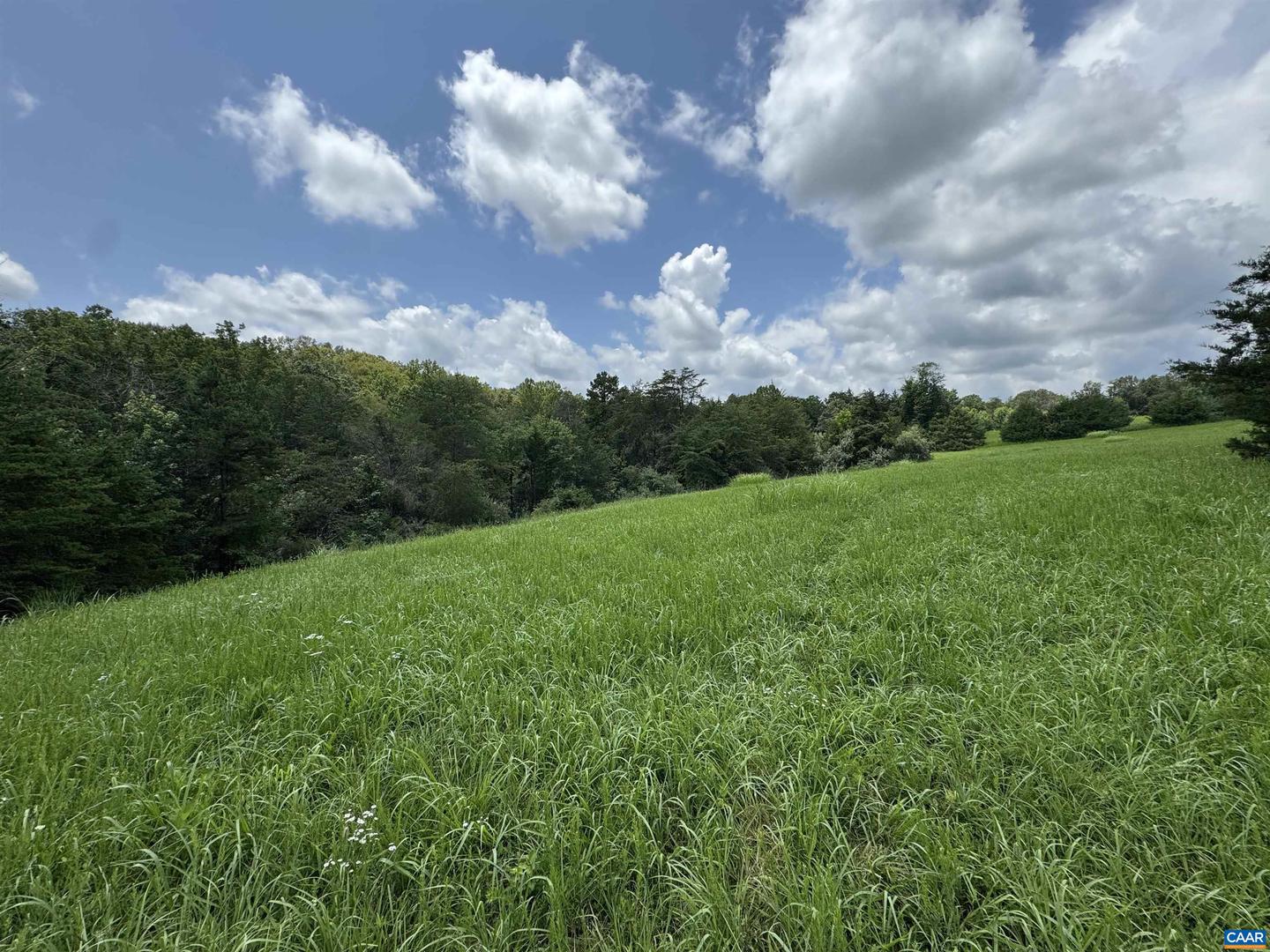 TBD FISHPOND RD, HOWARDSVILLE, Virginia 24562, ,Land,For sale,TBD FISHPOND RD,666825 MLS # 666825