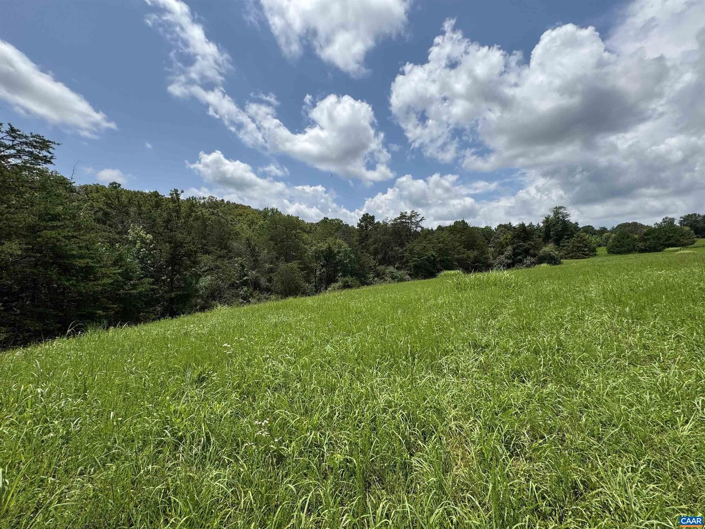 TBD FISHPOND RD, HOWARDSVILLE, Virginia 24562, ,Land,For sale,TBD FISHPOND RD,666825 MLS # 666825