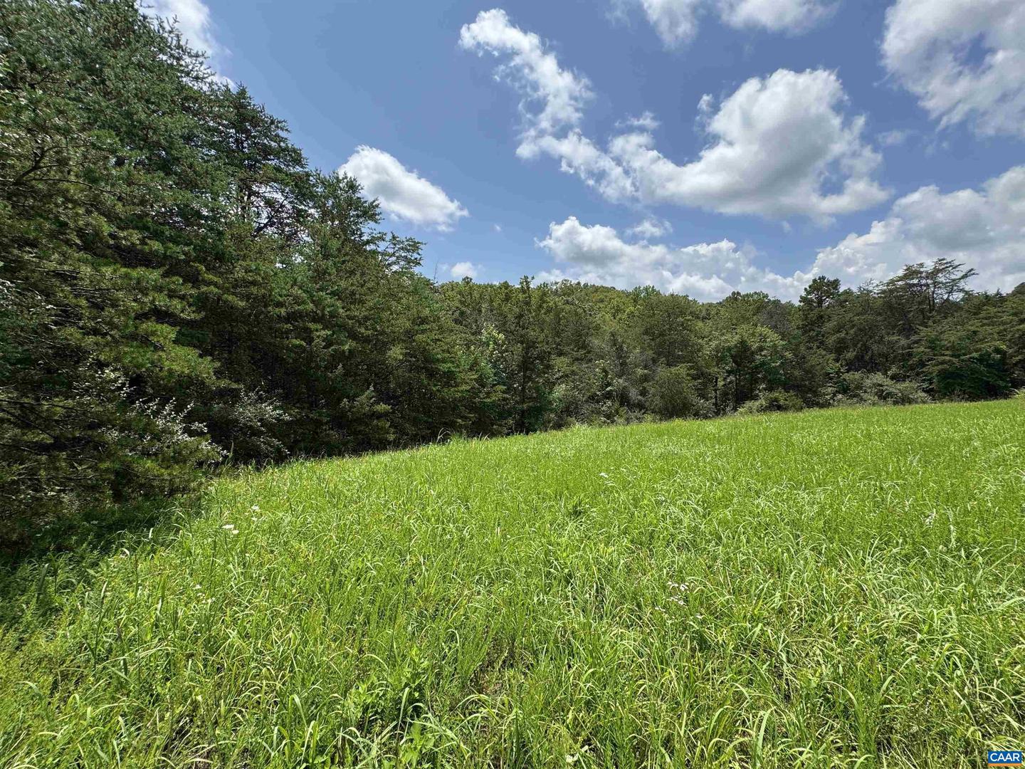 TBD FISHPOND RD, HOWARDSVILLE, Virginia 24562, ,Land,For sale,TBD FISHPOND RD,666825 MLS # 666825
