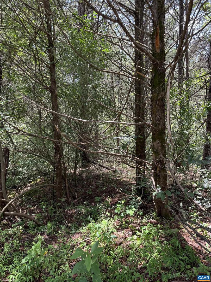 TBD FISHPOND RD, HOWARDSVILLE, Virginia 24562, ,Land,For sale,TBD FISHPOND RD,666825 MLS # 666825