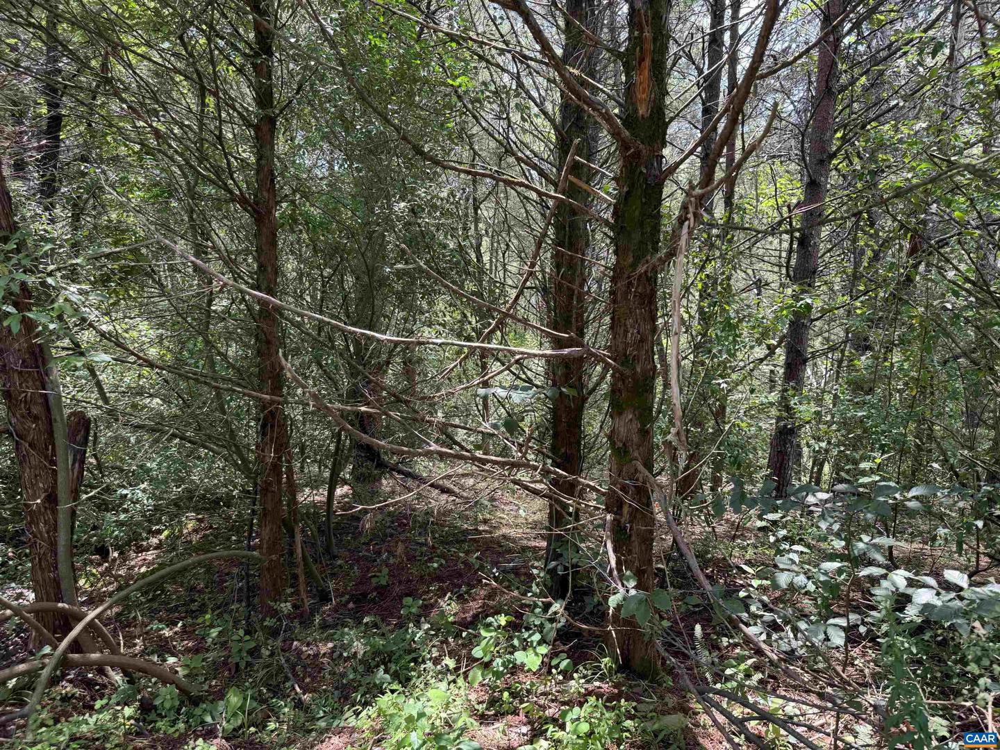 TBD FISHPOND RD, HOWARDSVILLE, Virginia 24562, ,Land,For sale,TBD FISHPOND RD,666825 MLS # 666825
