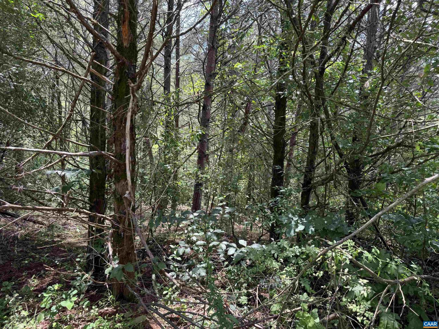 TBD FISHPOND RD, HOWARDSVILLE, Virginia 24562, ,Land,For sale,TBD FISHPOND RD,666825 MLS # 666825