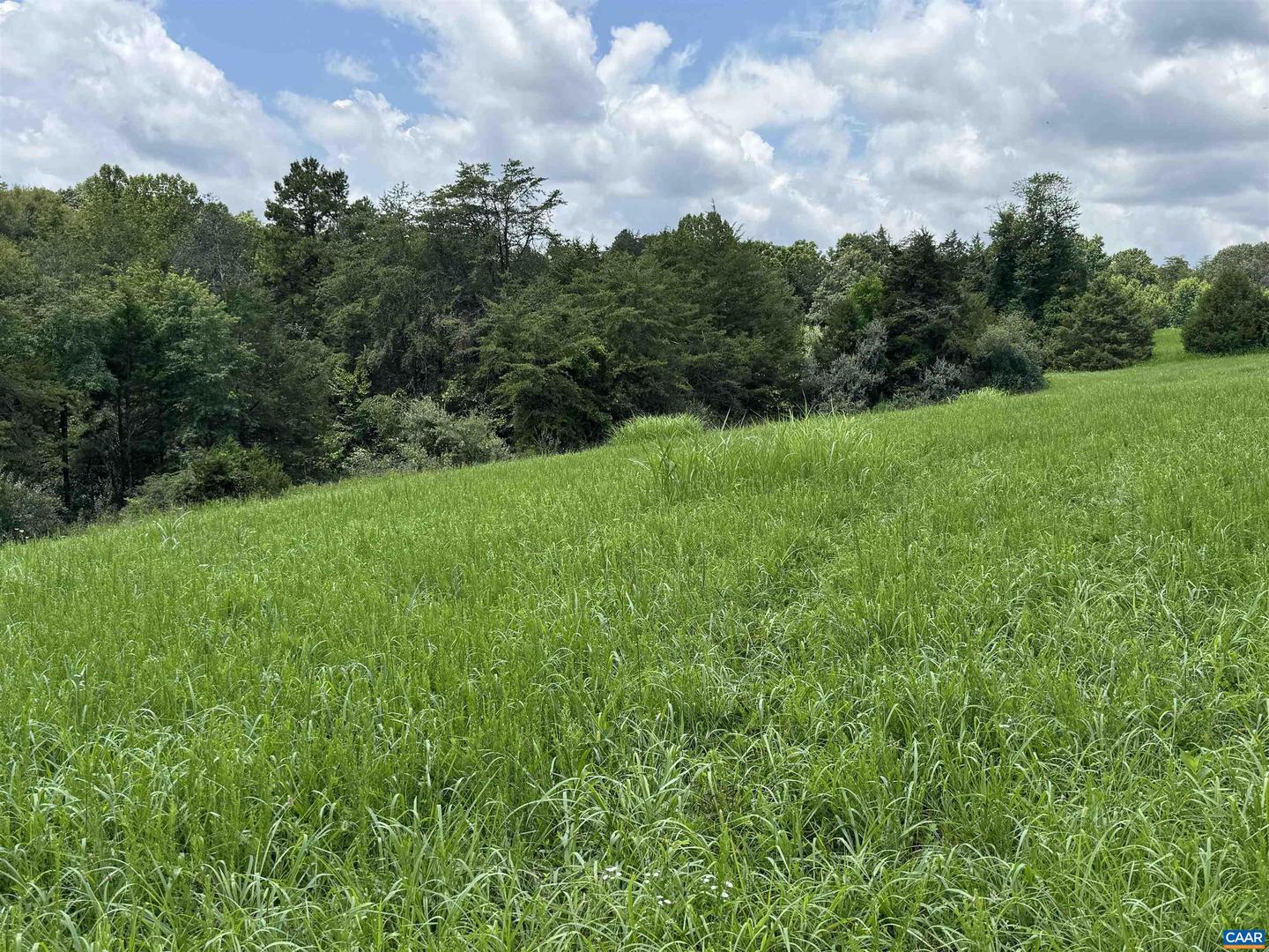 TBD FISHPOND RD, HOWARDSVILLE, Virginia 24562, ,Land,For sale,TBD FISHPOND RD,666825 MLS # 666825