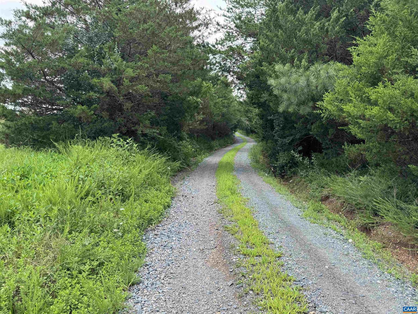 TBD FISHPOND RD, HOWARDSVILLE, Virginia 24562, ,Land,For sale,TBD FISHPOND RD,666825 MLS # 666825