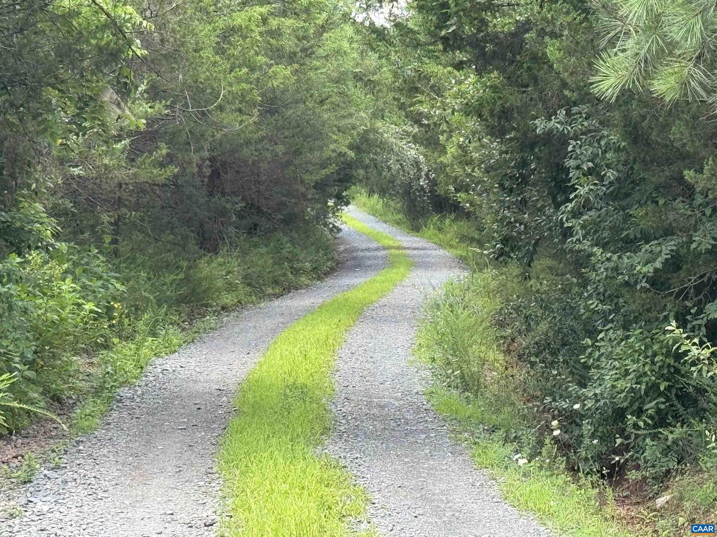 TBD FISHPOND RD, HOWARDSVILLE, Virginia 24562, ,Land,For sale,TBD FISHPOND RD,666825 MLS # 666825