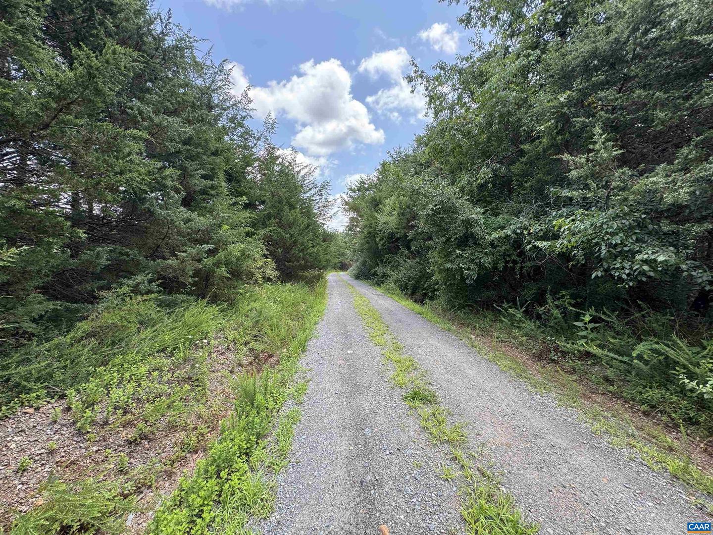 TBD FISHPOND RD, HOWARDSVILLE, Virginia 24562, ,Land,For sale,TBD FISHPOND RD,666825 MLS # 666825