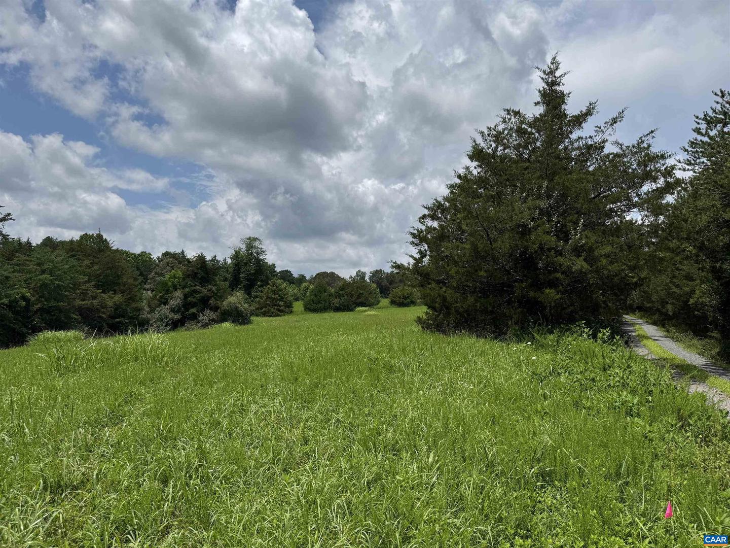 TBD FISHPOND RD, HOWARDSVILLE, Virginia 24562, ,Land,For sale,TBD FISHPOND RD,666825 MLS # 666825