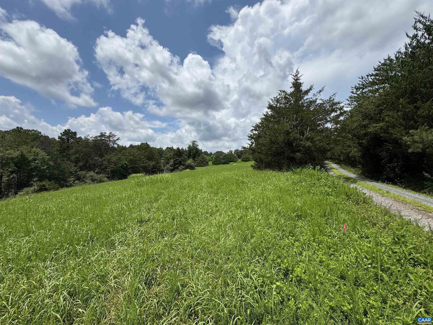 TBD FISHPOND RD, HOWARDSVILLE, Virginia 24562, ,Land,For sale,TBD FISHPOND RD,666825 MLS # 666825