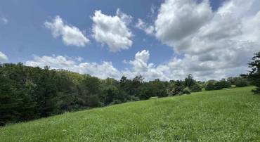 TBD FISHPOND RD, HOWARDSVILLE, Virginia 24562, ,Land,For sale,TBD FISHPOND RD,666825 MLS # 666825