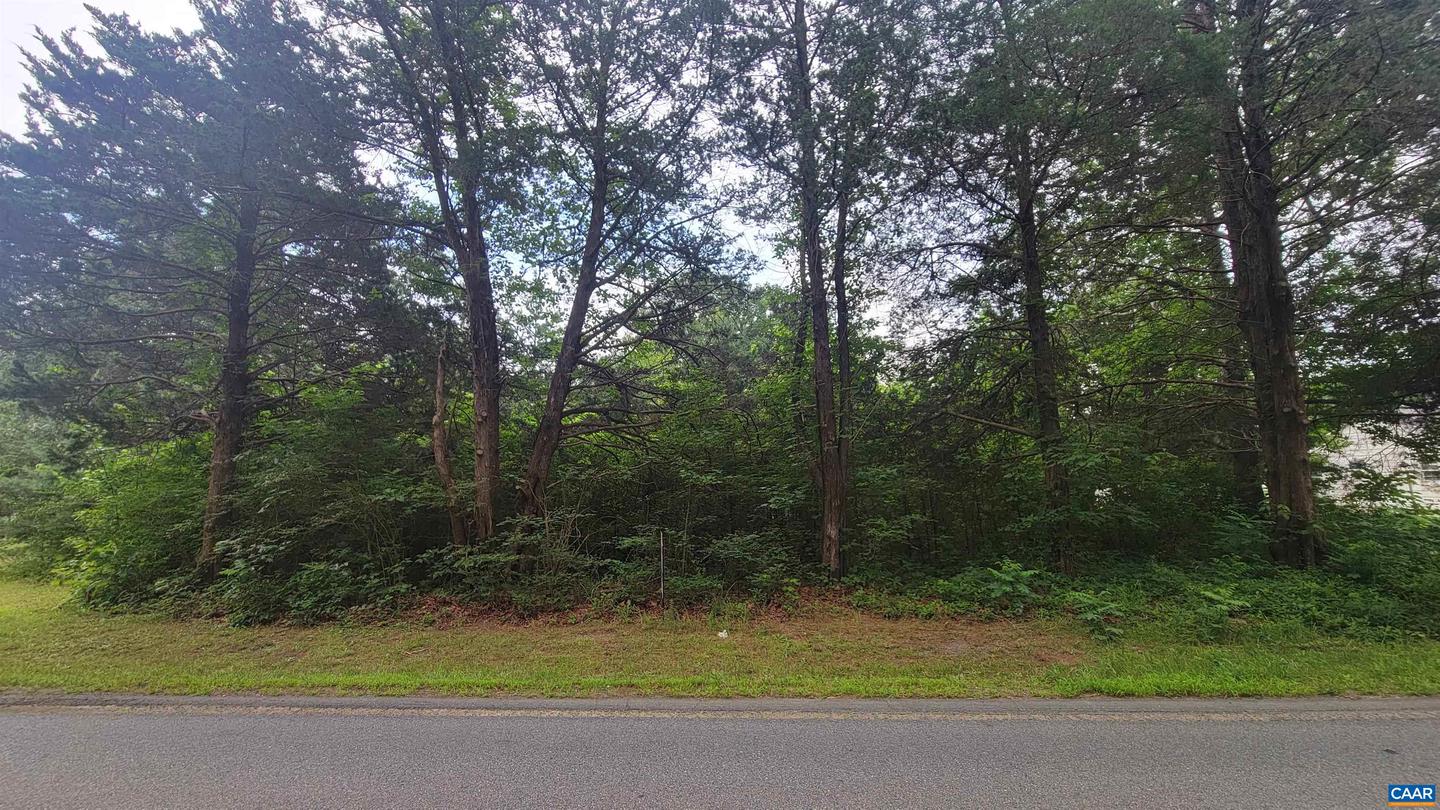 14098 SHANNON HILL RD, LOUISA, Virginia 23093, ,Land,For sale,14098 SHANNON HILL RD,666826 MLS # 666826