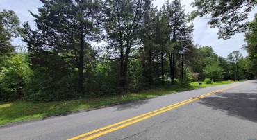 14098 SHANNON HILL RD, LOUISA, Virginia 23093, ,Land,For sale,14098 SHANNON HILL RD,666826 MLS # 666826