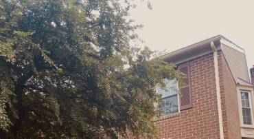 7833 BYRDS NEST PASS, ANNANDALE, Virginia 22003, 3 Bedrooms Bedrooms, ,3 BathroomsBathrooms,Residential,For sale,7833 BYRDS NEST PASS,VAFX2248838 MLS # VAFX2248838