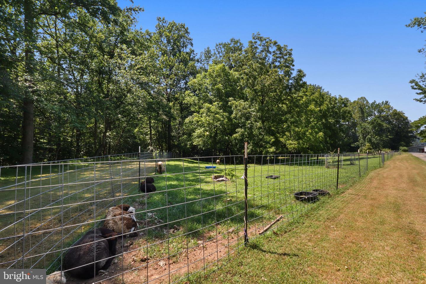 5898 COVE HARBOUR DR, KING GEORGE, Virginia 22485, 3 Bedrooms Bedrooms, 3 Rooms Rooms,2 BathroomsBathrooms,Residential,For sale,5898 COVE HARBOUR DR,VAKG2006698 MLS # VAKG2006698