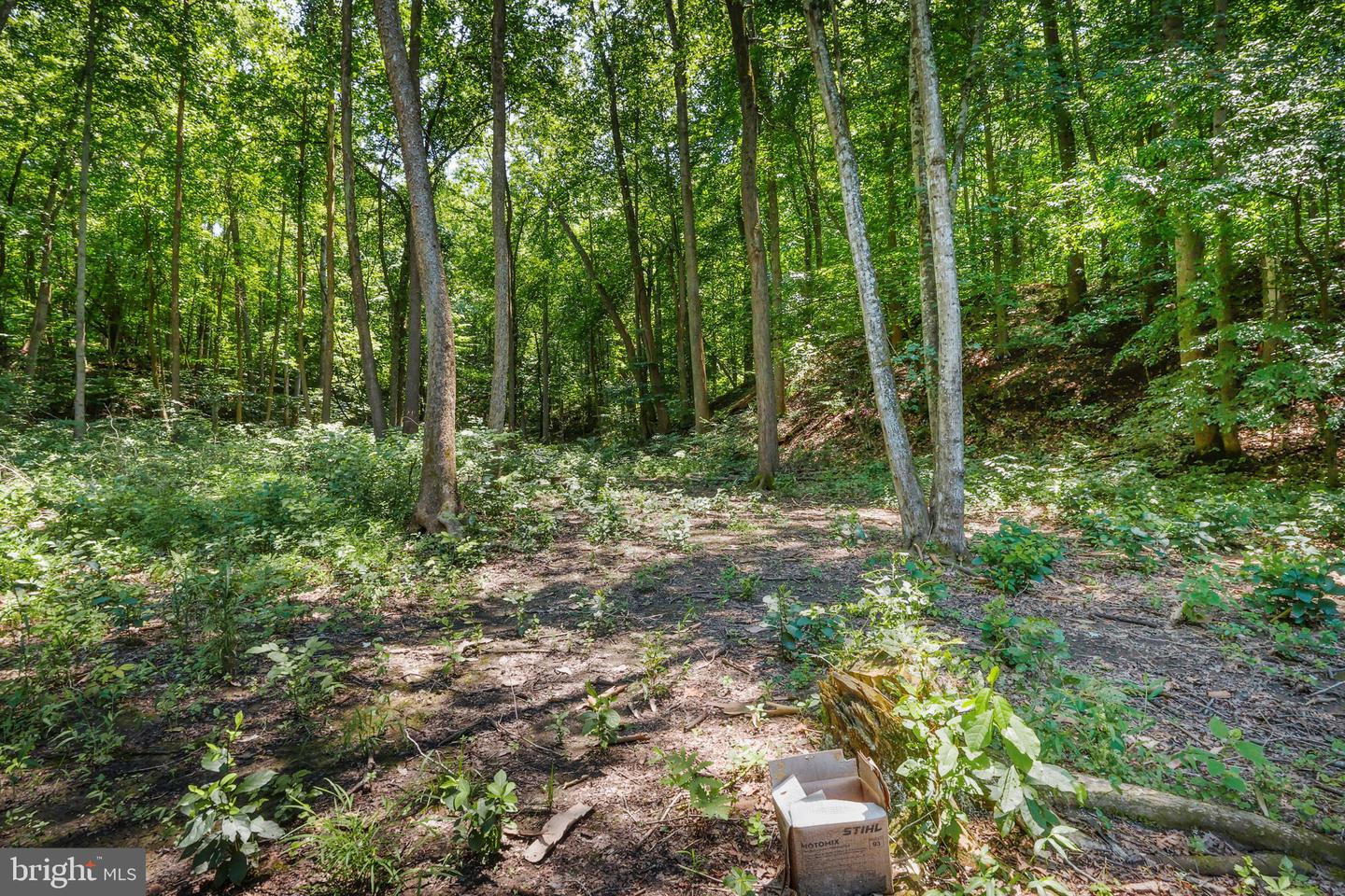 5898 COVE HARBOUR DR, KING GEORGE, Virginia 22485, 3 Bedrooms Bedrooms, 3 Rooms Rooms,2 BathroomsBathrooms,Residential,For sale,5898 COVE HARBOUR DR,VAKG2006698 MLS # VAKG2006698