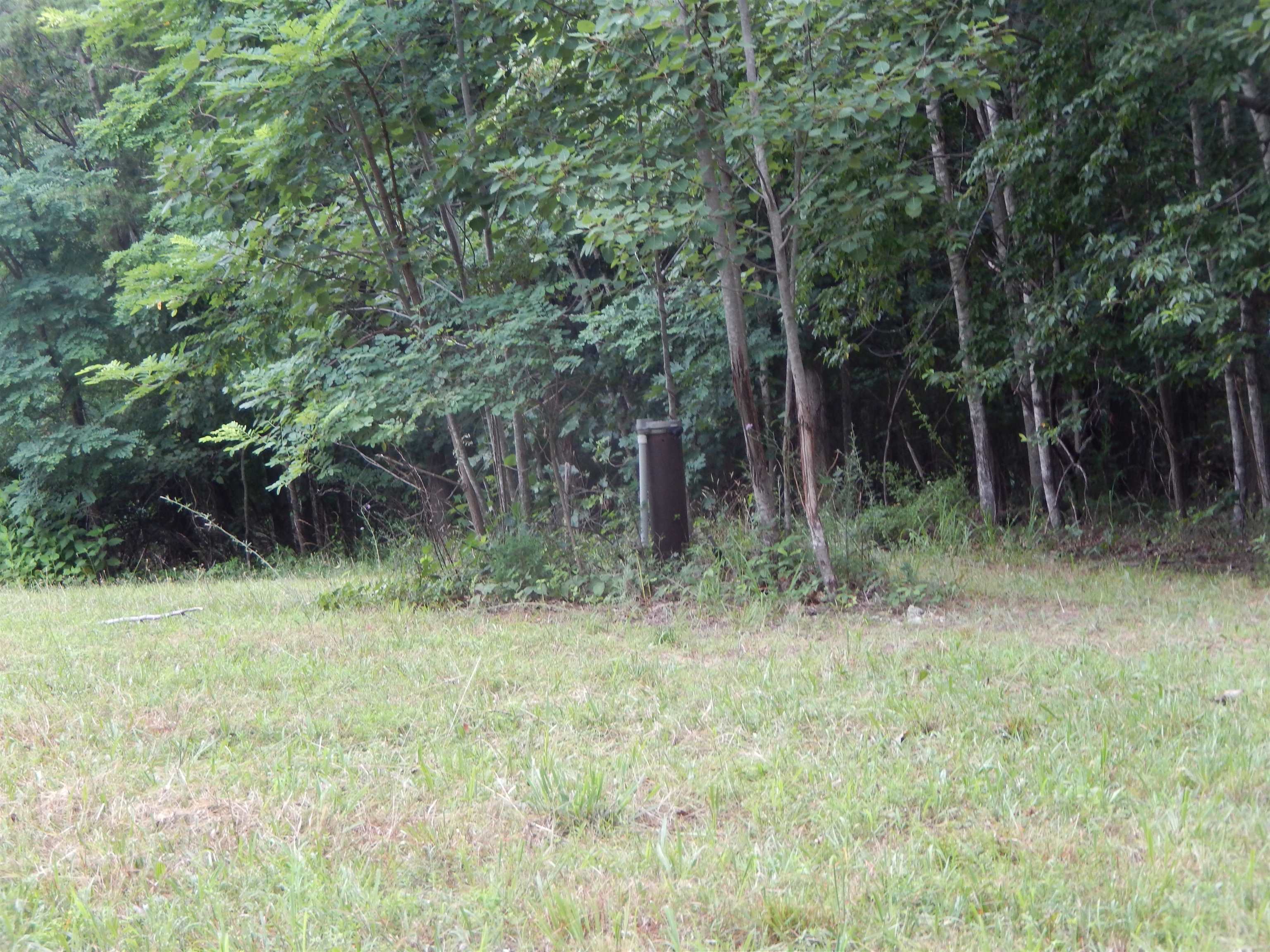 346 COBBLESTONE LN, SHENANDOAH, Virginia 22849, ,Land,Burke,346 COBBLESTONE LN,666833 MLS # 666833