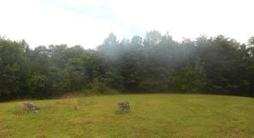 346 COBBLESTONE LN, SHENANDOAH, Virginia 22849, ,Land,Burke,346 COBBLESTONE LN,666833 MLS # 666833
