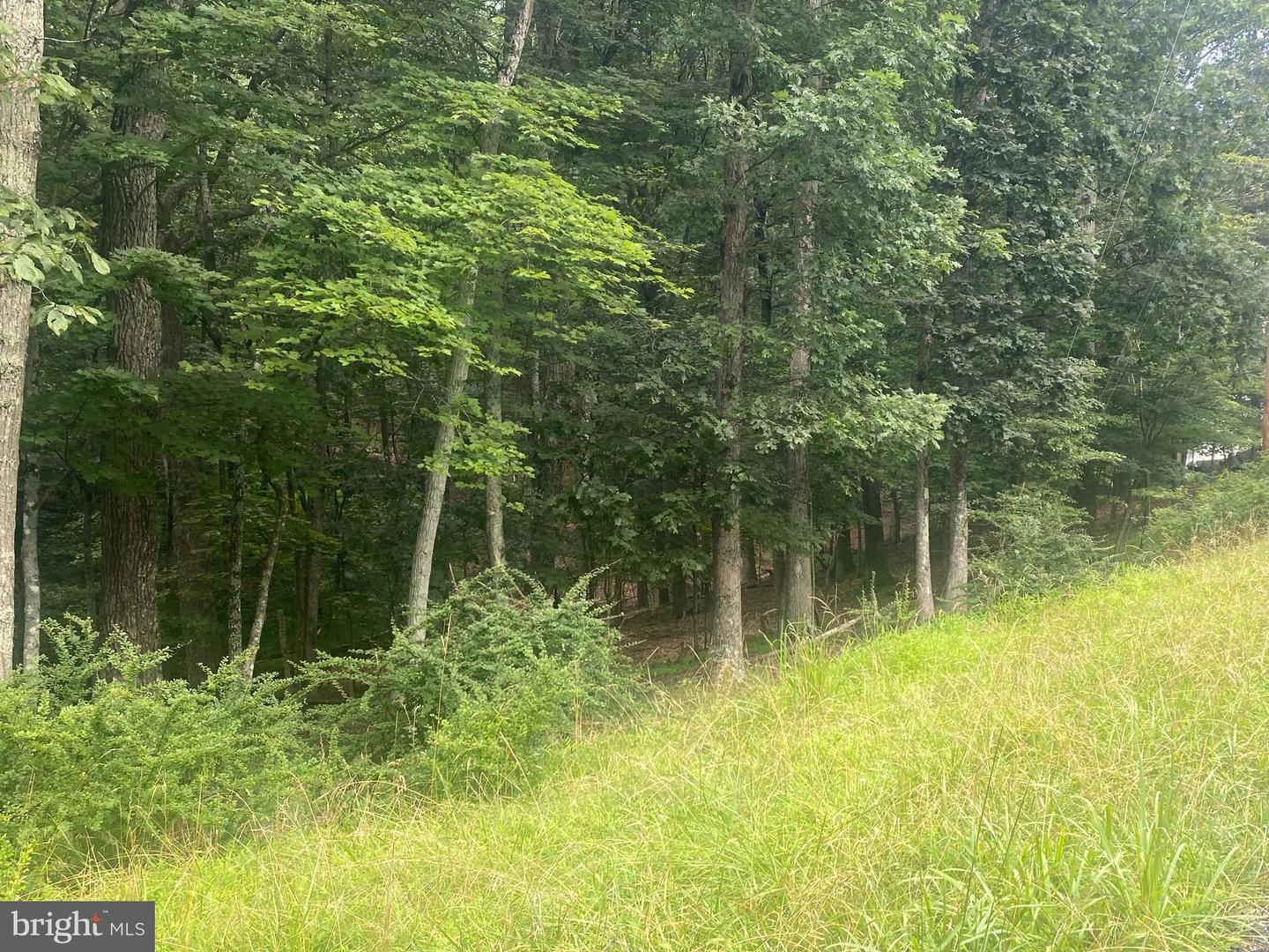 204 GREEN LEAF DR, CROSS JUNCTION, Virginia 22625, ,Land,For sale,204 GREEN LEAF DR,VAFV2035488 MLS # VAFV2035488