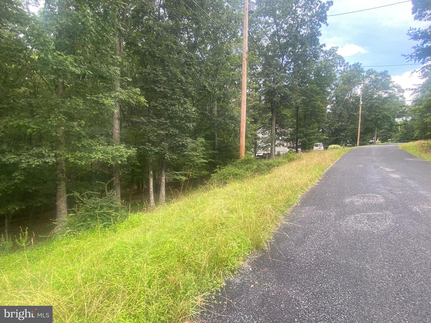 204 GREEN LEAF DR, CROSS JUNCTION, Virginia 22625, ,Land,For sale,204 GREEN LEAF DR,VAFV2035488 MLS # VAFV2035488