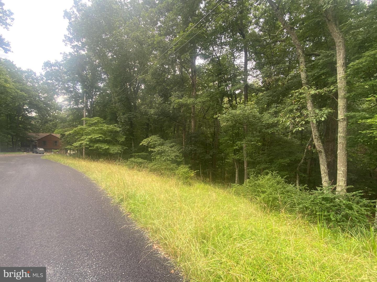 204 GREEN LEAF DR, CROSS JUNCTION, Virginia 22625, ,Land,For sale,204 GREEN LEAF DR,VAFV2035488 MLS # VAFV2035488