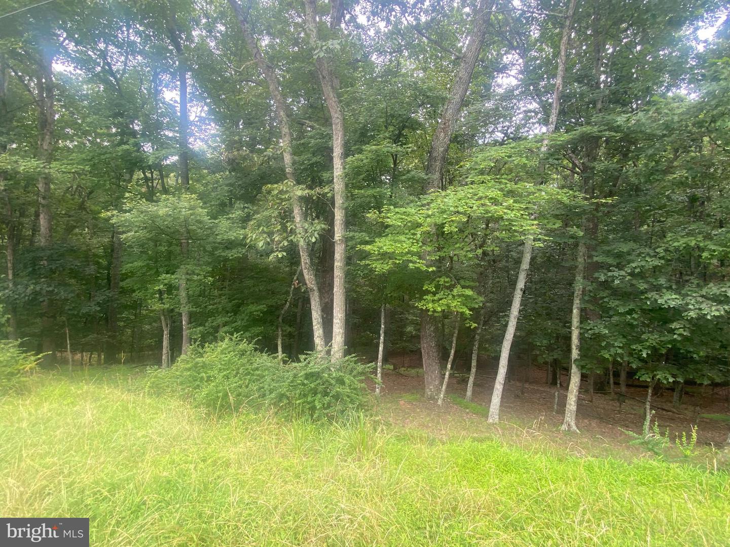 204 GREEN LEAF DR, CROSS JUNCTION, Virginia 22625, ,Land,For sale,204 GREEN LEAF DR,VAFV2035488 MLS # VAFV2035488