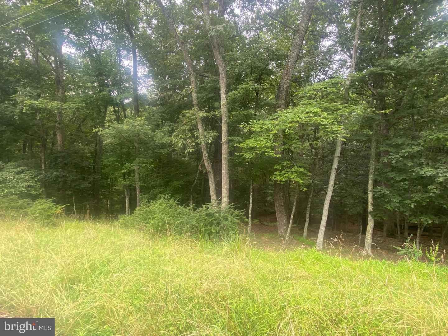 204 GREEN LEAF DR, CROSS JUNCTION, Virginia 22625, ,Land,For sale,204 GREEN LEAF DR,VAFV2035488 MLS # VAFV2035488