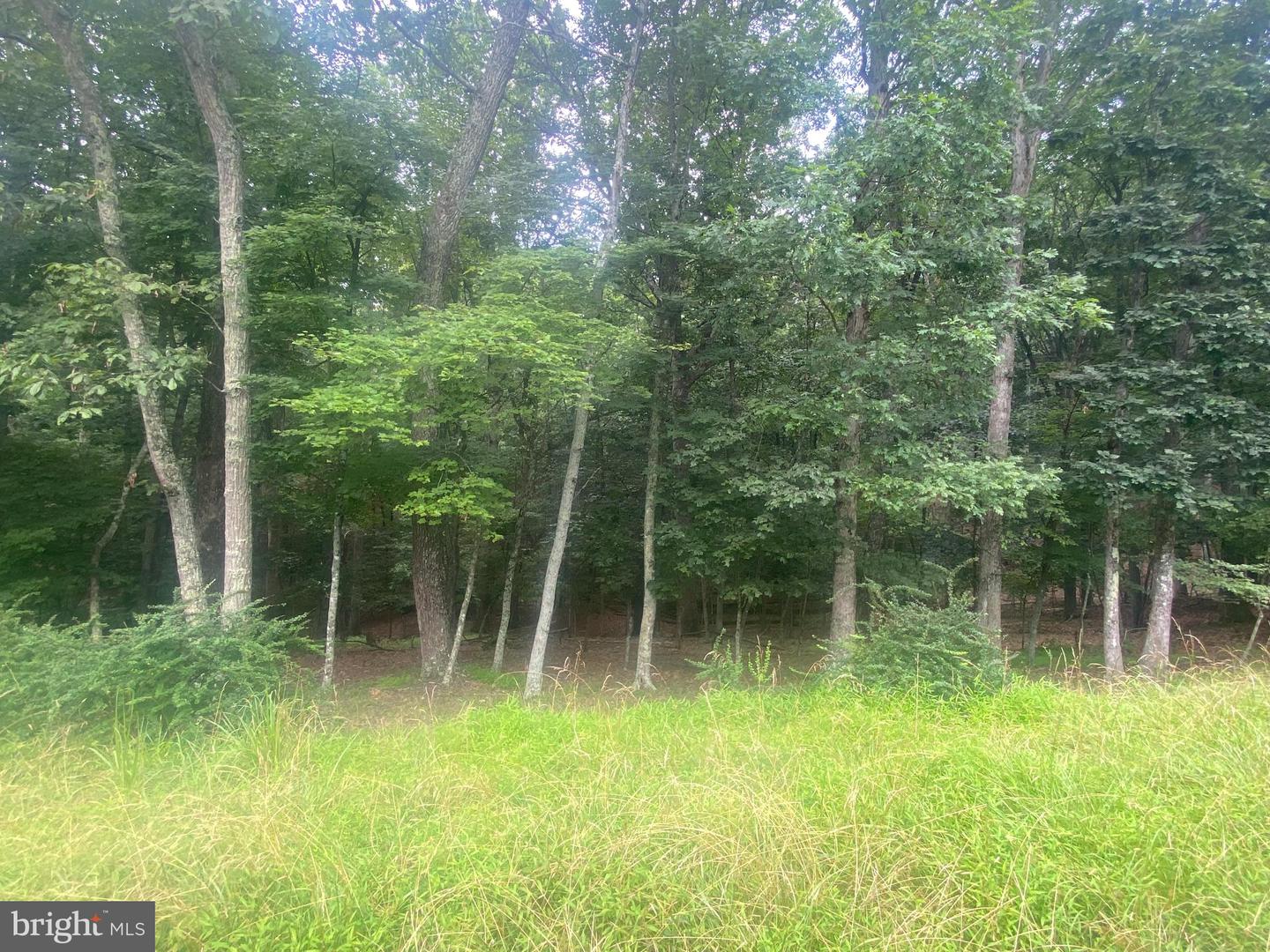 204 GREEN LEAF DR, CROSS JUNCTION, Virginia 22625, ,Land,For sale,204 GREEN LEAF DR,VAFV2035488 MLS # VAFV2035488