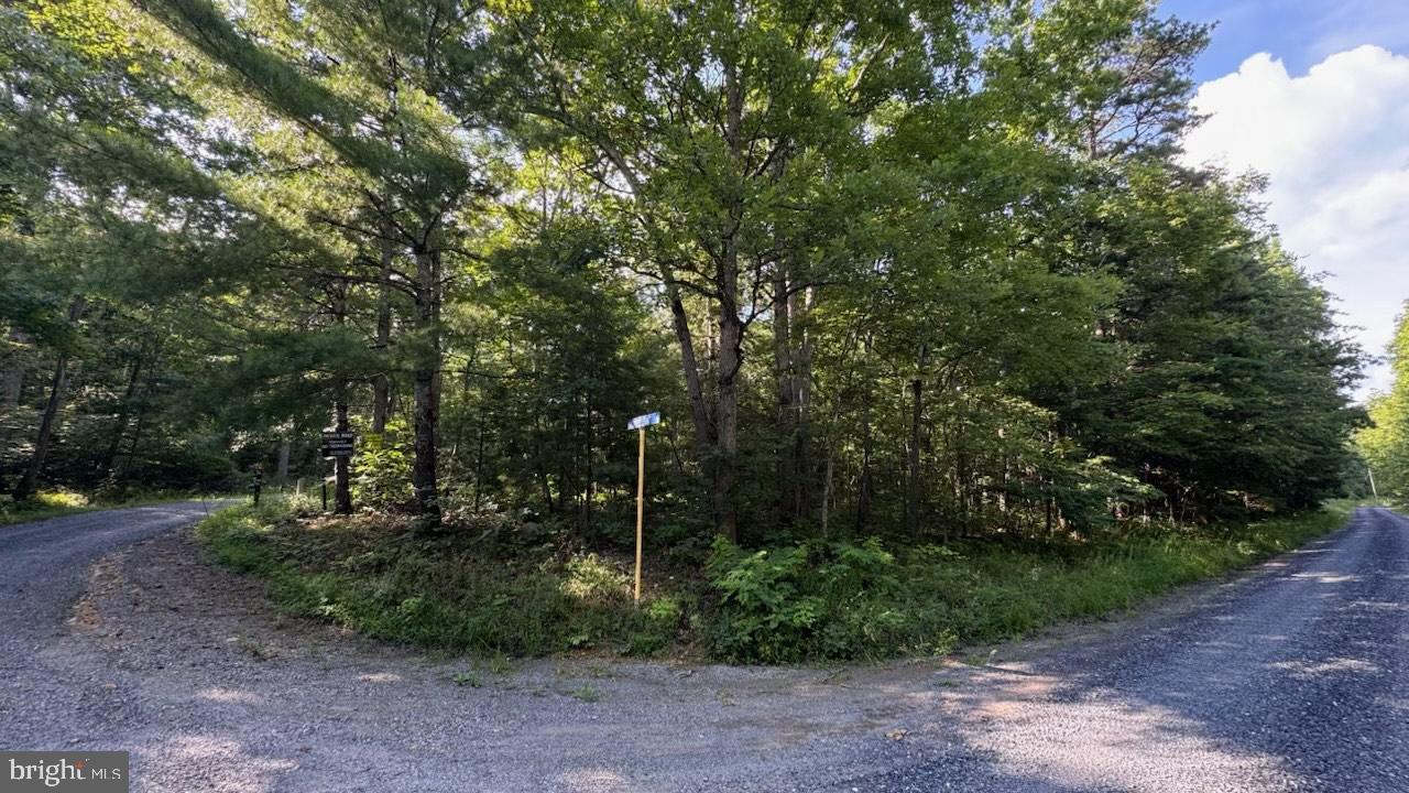 MINE MOUNTAIN LN. LOT 241, FORT VALLEY, Virginia 22652, ,Land,For sale,MINE MOUNTAIN LN. LOT 241,VASH2012004 MLS # VASH2012004