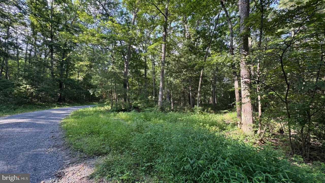 MINE MOUNTAIN LN. LOT 241, FORT VALLEY, Virginia 22652, ,Land,For sale,MINE MOUNTAIN LN. LOT 241,VASH2012004 MLS # VASH2012004