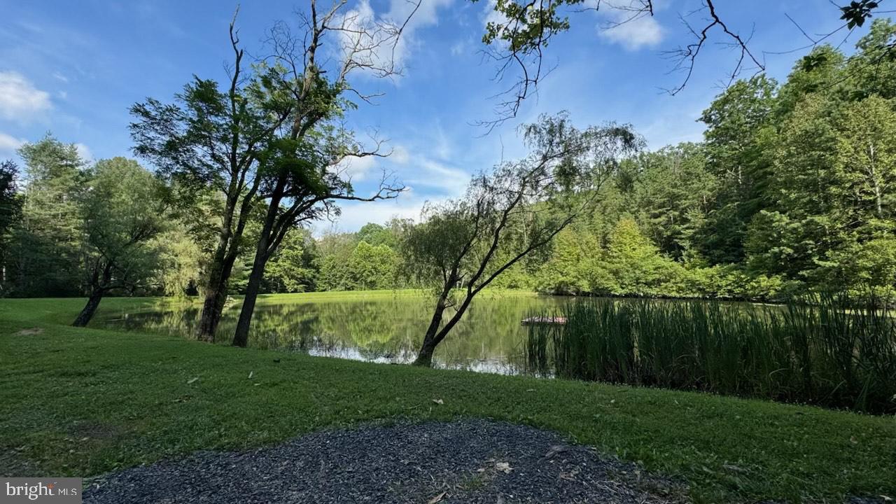 MINE MOUNTAIN LN. LOT 241, FORT VALLEY, Virginia 22652, ,Land,For sale,MINE MOUNTAIN LN. LOT 241,VASH2012004 MLS # VASH2012004