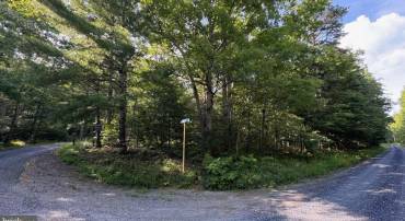 MINE MOUNTAIN LN. LOT 241, FORT VALLEY, Virginia 22652, ,Land,For sale,MINE MOUNTAIN LN. LOT 241,VASH2012004 MLS # VASH2012004