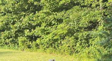 17435 JOPLIN RD, TRIANGLE, Virginia 22172, ,Land,For sale,17435 JOPLIN RD,VAPW2099392 MLS # VAPW2099392