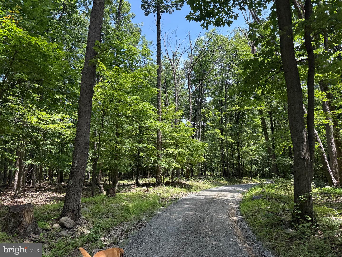 TBD APPALACHIAN TRAIL RD, ROUND HILL, Virginia 20141, ,Land,For sale,TBD APPALACHIAN TRAIL RD,VALO2102392 MLS # VALO2102392