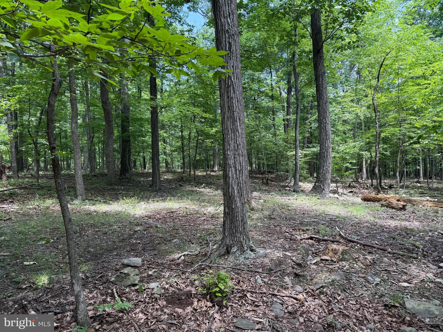TBD APPALACHIAN TRAIL RD, ROUND HILL, Virginia 20141, ,Land,For sale,TBD APPALACHIAN TRAIL RD,VALO2102392 MLS # VALO2102392