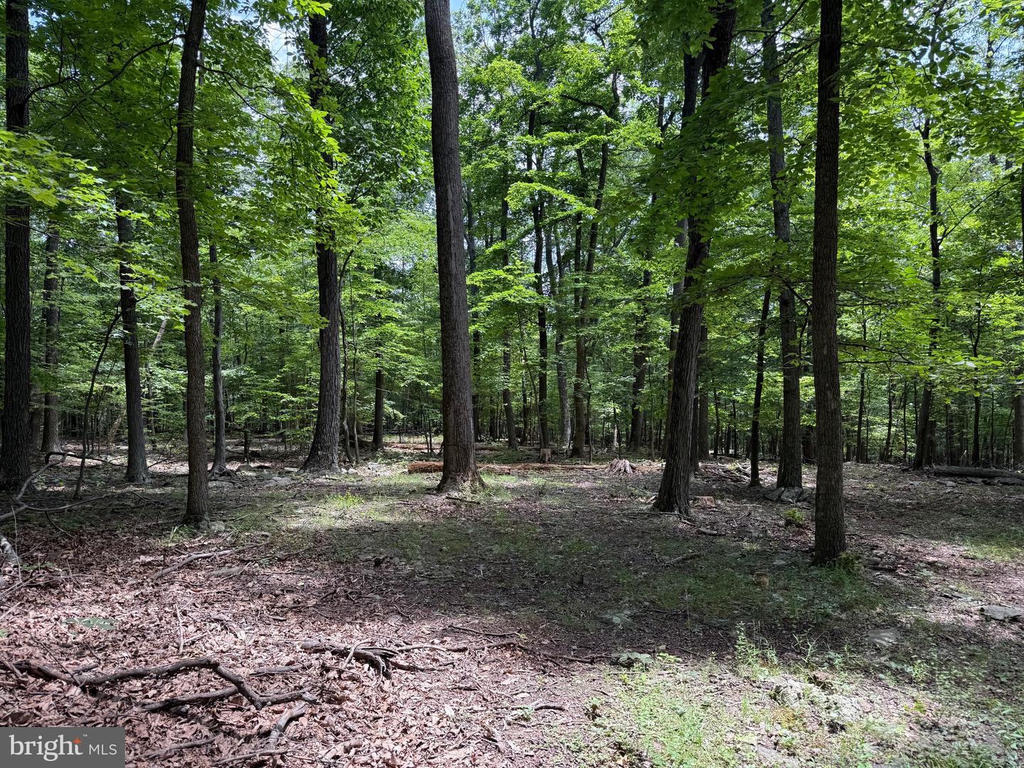 TBD APPALACHIAN TRAIL RD, ROUND HILL, Virginia 20141, ,Land,For sale,TBD APPALACHIAN TRAIL RD,VALO2102392 MLS # VALO2102392