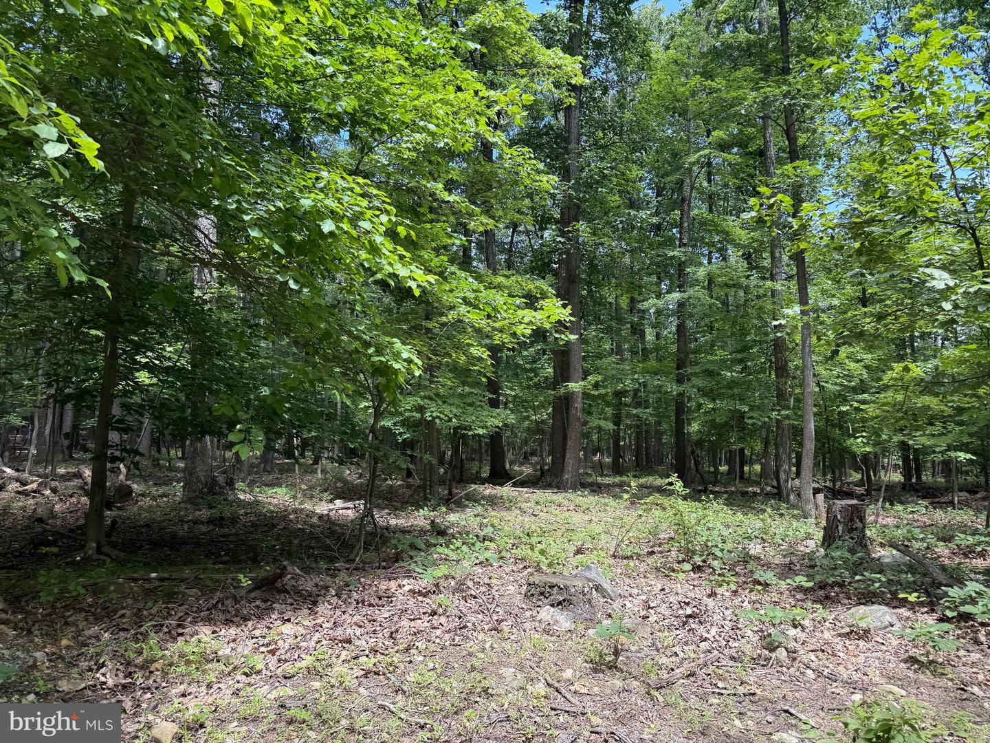 TBD APPALACHIAN TRAIL RD, ROUND HILL, Virginia 20141, ,Land,For sale,TBD APPALACHIAN TRAIL RD,VALO2102392 MLS # VALO2102392