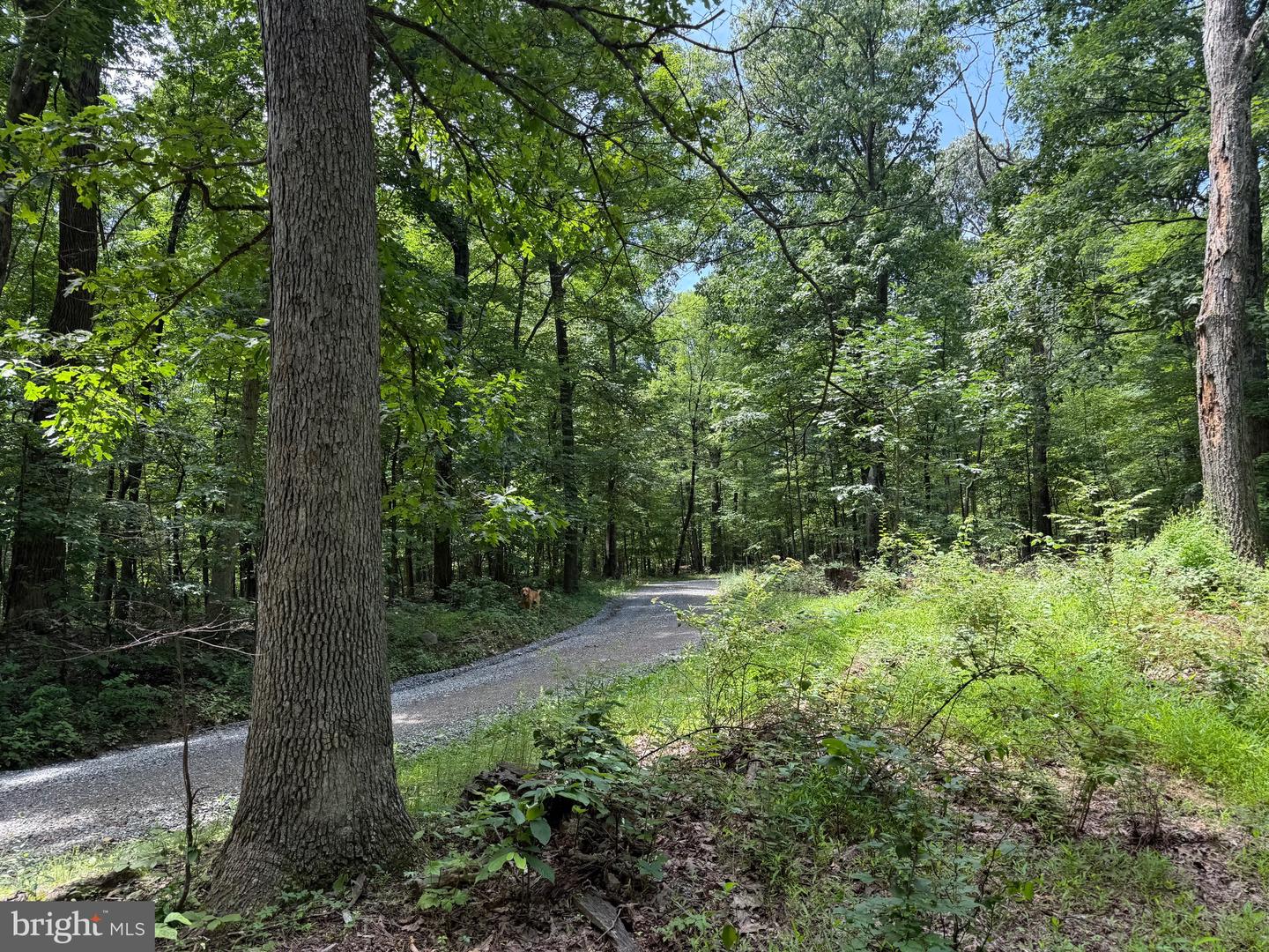 TBD APPALACHIAN TRAIL RD, ROUND HILL, Virginia 20141, ,Land,For sale,TBD APPALACHIAN TRAIL RD,VALO2102392 MLS # VALO2102392