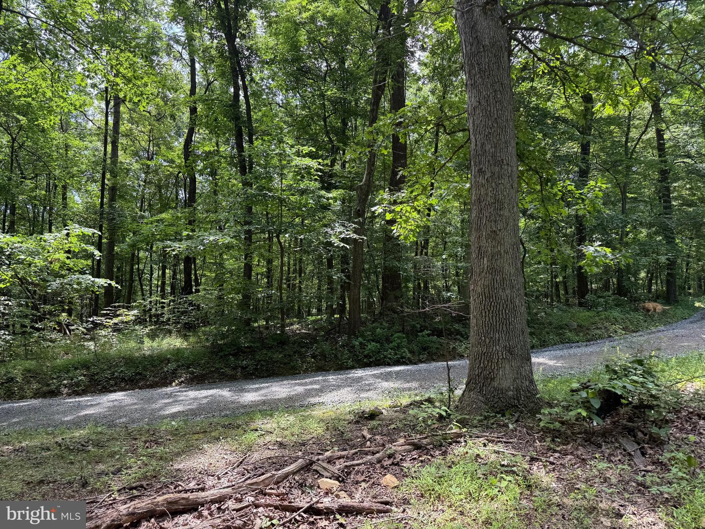 TBD APPALACHIAN TRAIL RD, ROUND HILL, Virginia 20141, ,Land,For sale,TBD APPALACHIAN TRAIL RD,VALO2102392 MLS # VALO2102392
