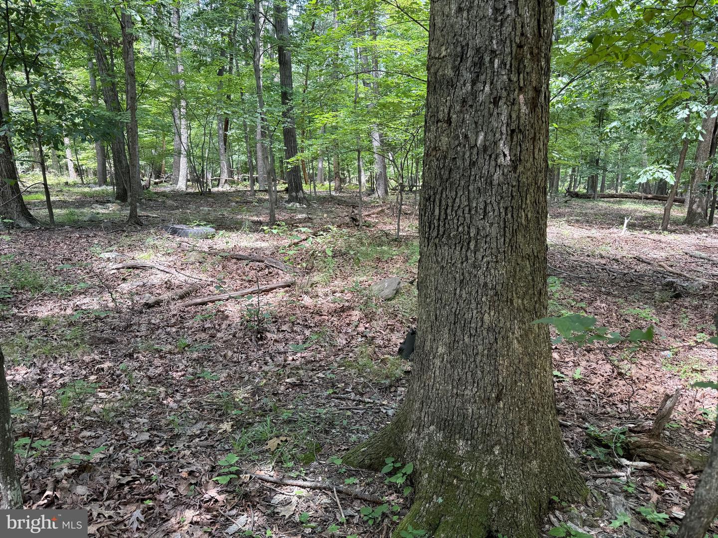 TBD APPALACHIAN TRAIL RD, ROUND HILL, Virginia 20141, ,Land,For sale,TBD APPALACHIAN TRAIL RD,VALO2102392 MLS # VALO2102392