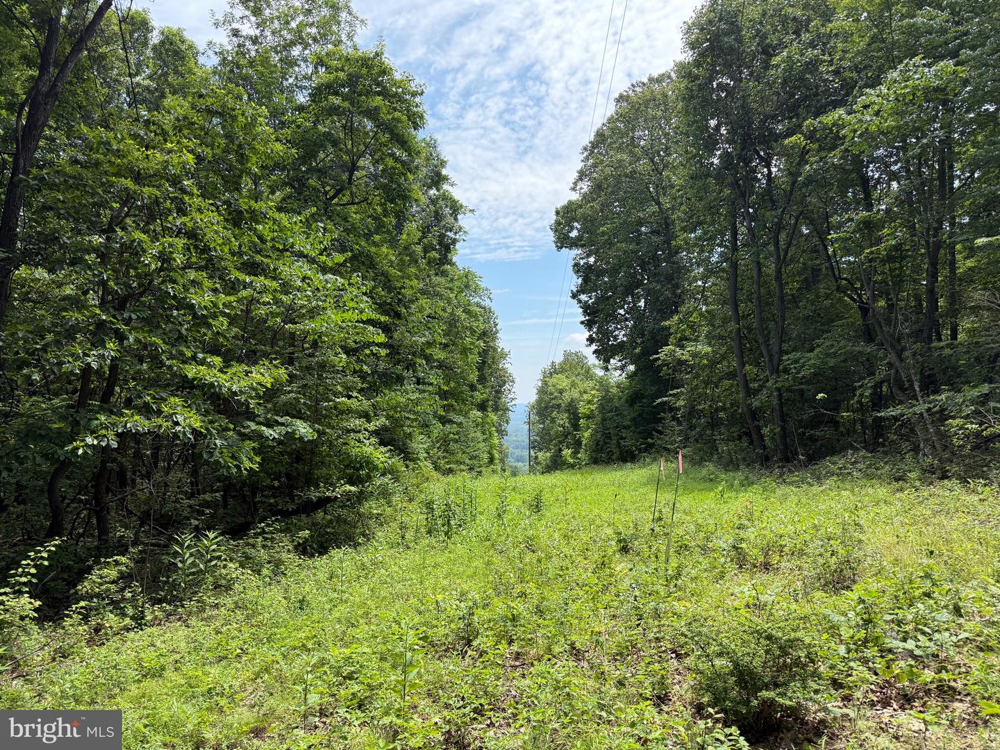 TBD APPALACHIAN TRAIL RD, ROUND HILL, Virginia 20141, ,Land,For sale,TBD APPALACHIAN TRAIL RD,VALO2102392 MLS # VALO2102392