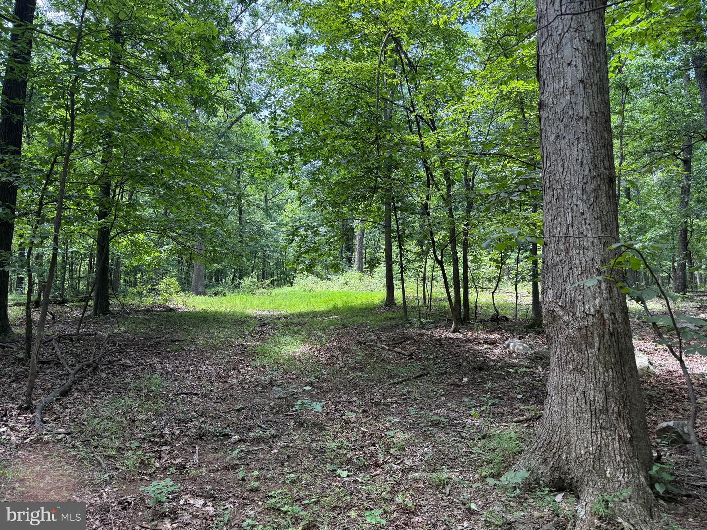 TBD APPALACHIAN TRAIL RD, ROUND HILL, Virginia 20141, ,Land,For sale,TBD APPALACHIAN TRAIL RD,VALO2102392 MLS # VALO2102392