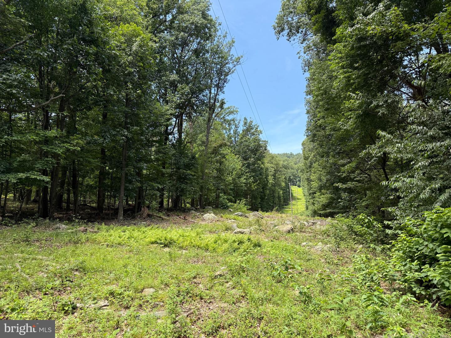 TBD APPALACHIAN TRAIL RD, ROUND HILL, Virginia 20141, ,Land,For sale,TBD APPALACHIAN TRAIL RD,VALO2102392 MLS # VALO2102392