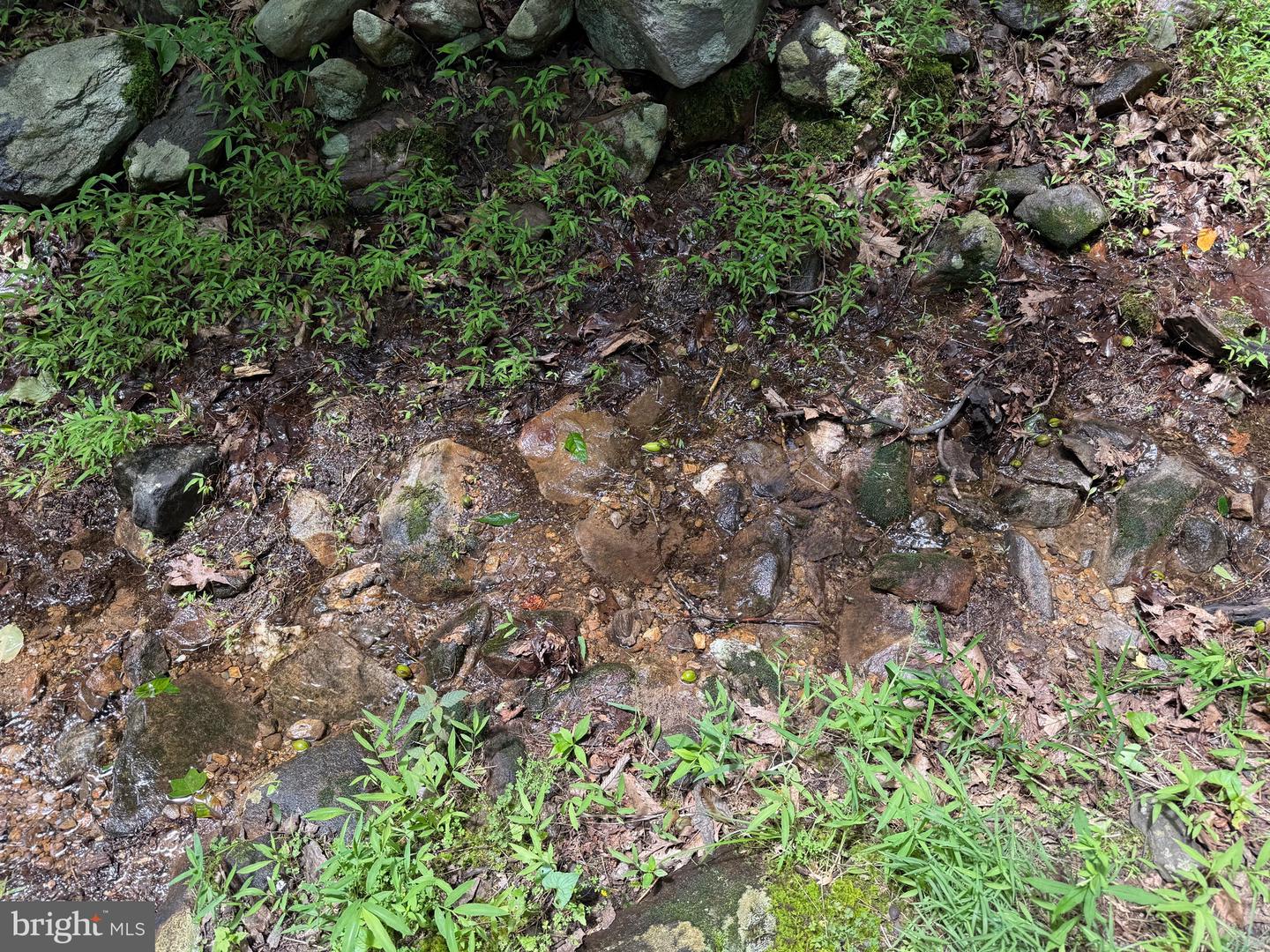 TBD APPALACHIAN TRAIL RD, ROUND HILL, Virginia 20141, ,Land,For sale,TBD APPALACHIAN TRAIL RD,VALO2102392 MLS # VALO2102392