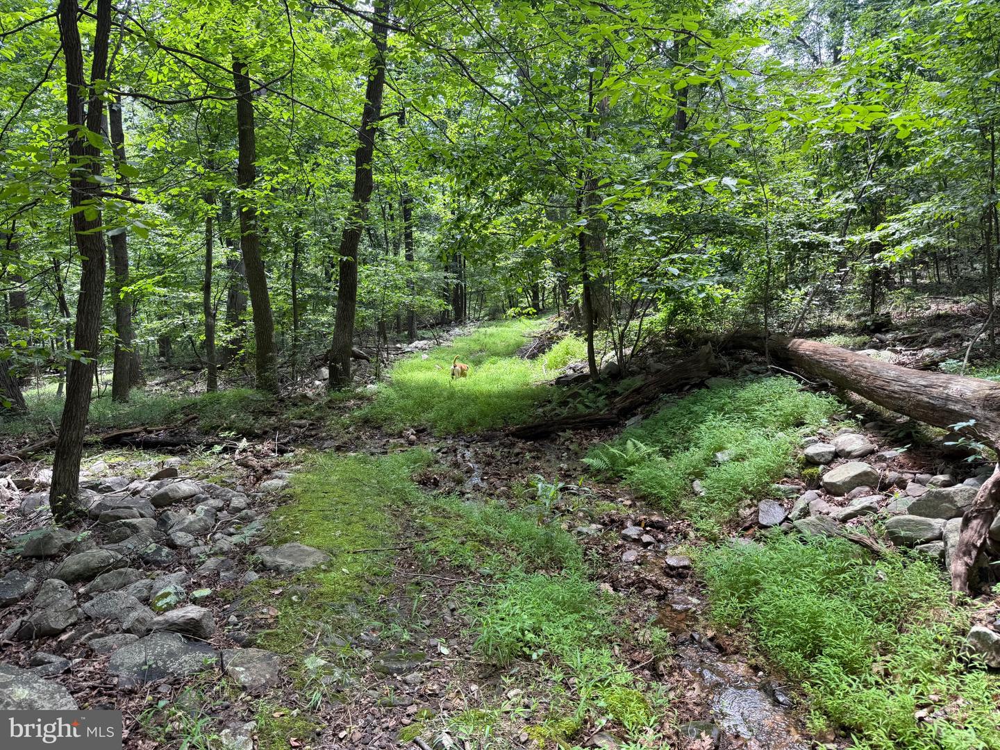 TBD APPALACHIAN TRAIL RD, ROUND HILL, Virginia 20141, ,Land,For sale,TBD APPALACHIAN TRAIL RD,VALO2102392 MLS # VALO2102392