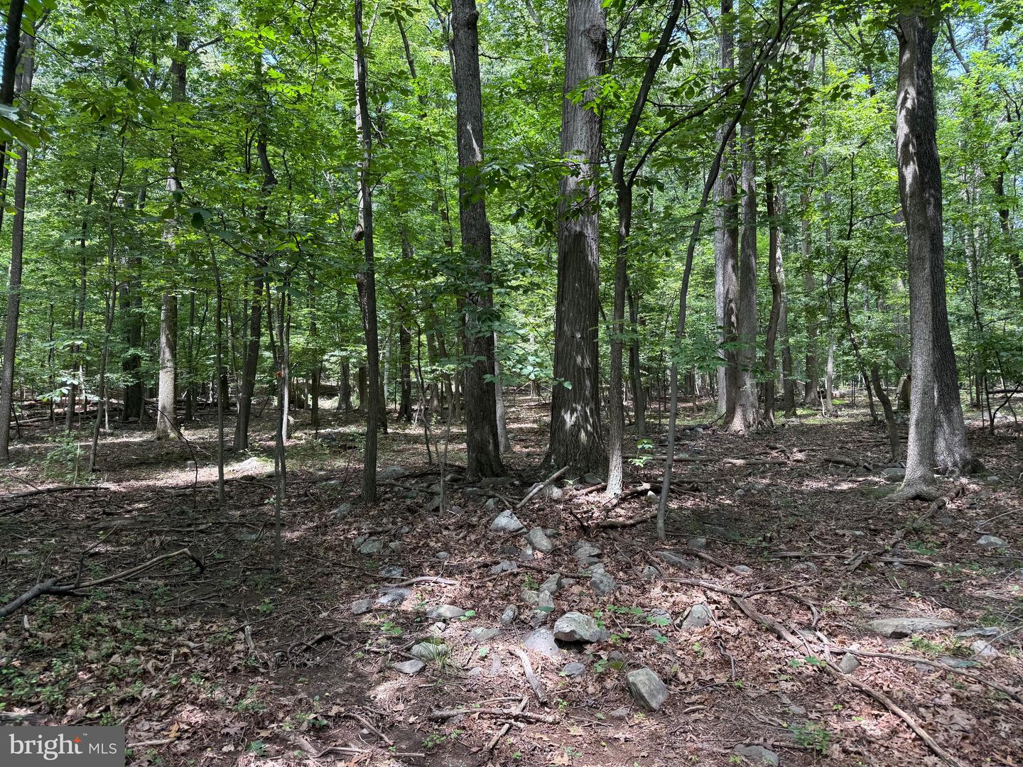 TBD APPALACHIAN TRAIL RD, ROUND HILL, Virginia 20141, ,Land,For sale,TBD APPALACHIAN TRAIL RD,VALO2102392 MLS # VALO2102392