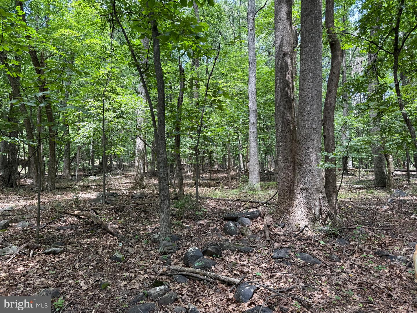 TBD APPALACHIAN TRAIL RD, ROUND HILL, Virginia 20141, ,Land,For sale,TBD APPALACHIAN TRAIL RD,VALO2102392 MLS # VALO2102392