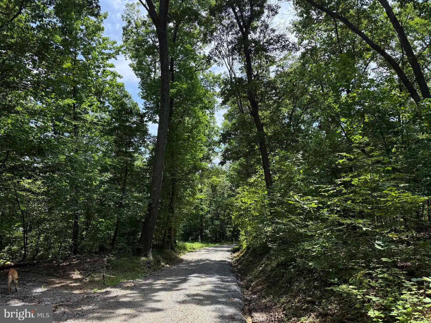 TBD APPALACHIAN TRAIL RD, ROUND HILL, Virginia 20141, ,Land,For sale,TBD APPALACHIAN TRAIL RD,VALO2102392 MLS # VALO2102392
