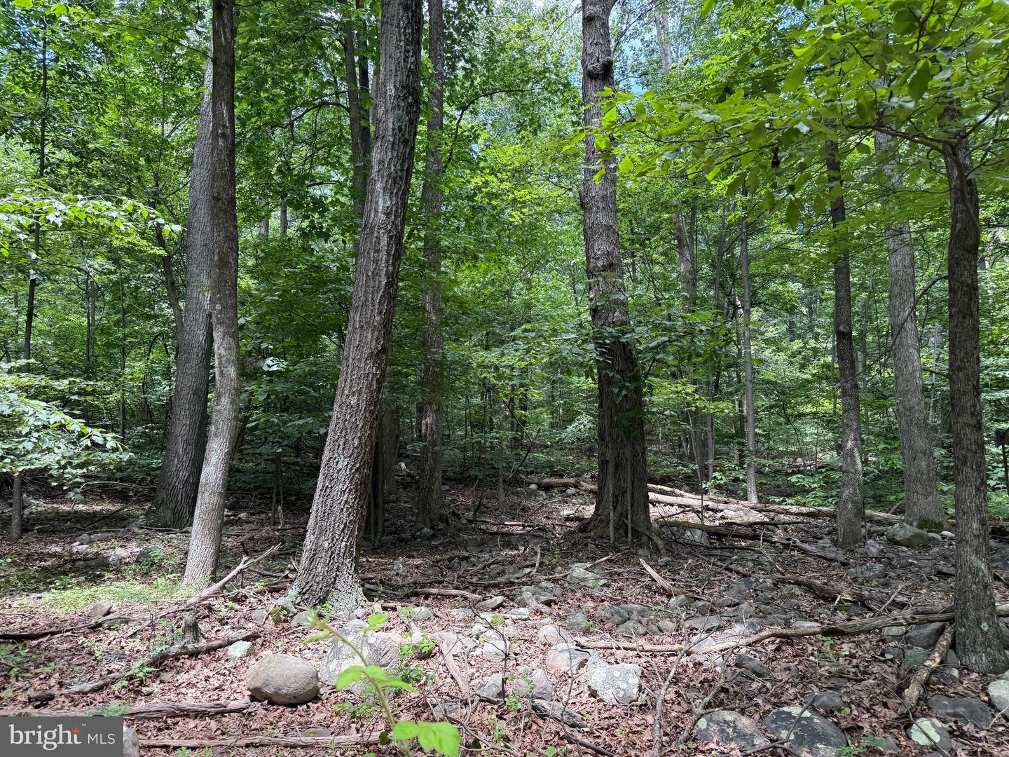 TBD APPALACHIAN TRAIL RD, ROUND HILL, Virginia 20141, ,Land,For sale,TBD APPALACHIAN TRAIL RD,VALO2102392 MLS # VALO2102392